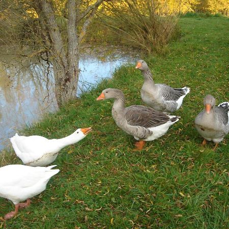 Domaine De Varenne Bed & Breakfast Saint-Amand-en-Puisaye ภายนอก รูปภาพ