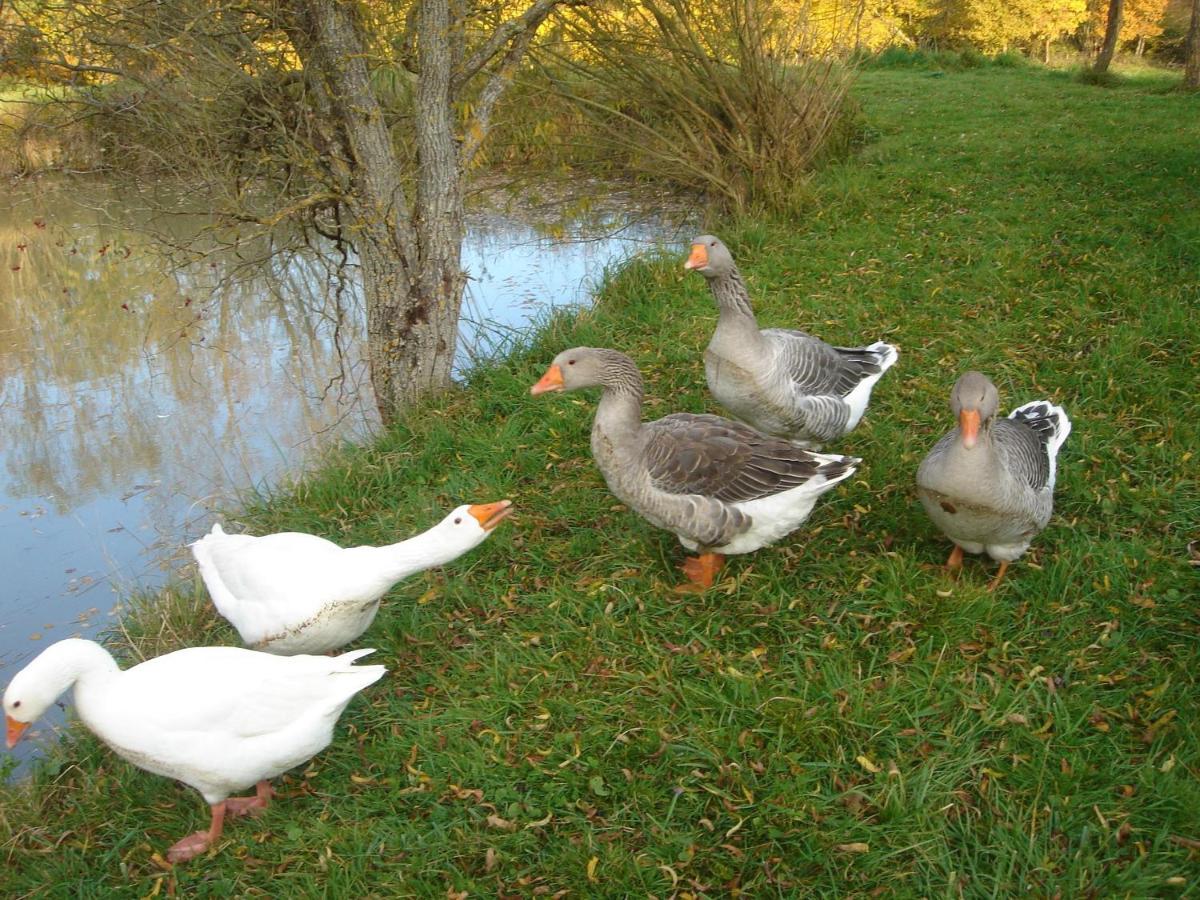 Domaine De Varenne Bed & Breakfast Saint-Amand-en-Puisaye ภายนอก รูปภาพ