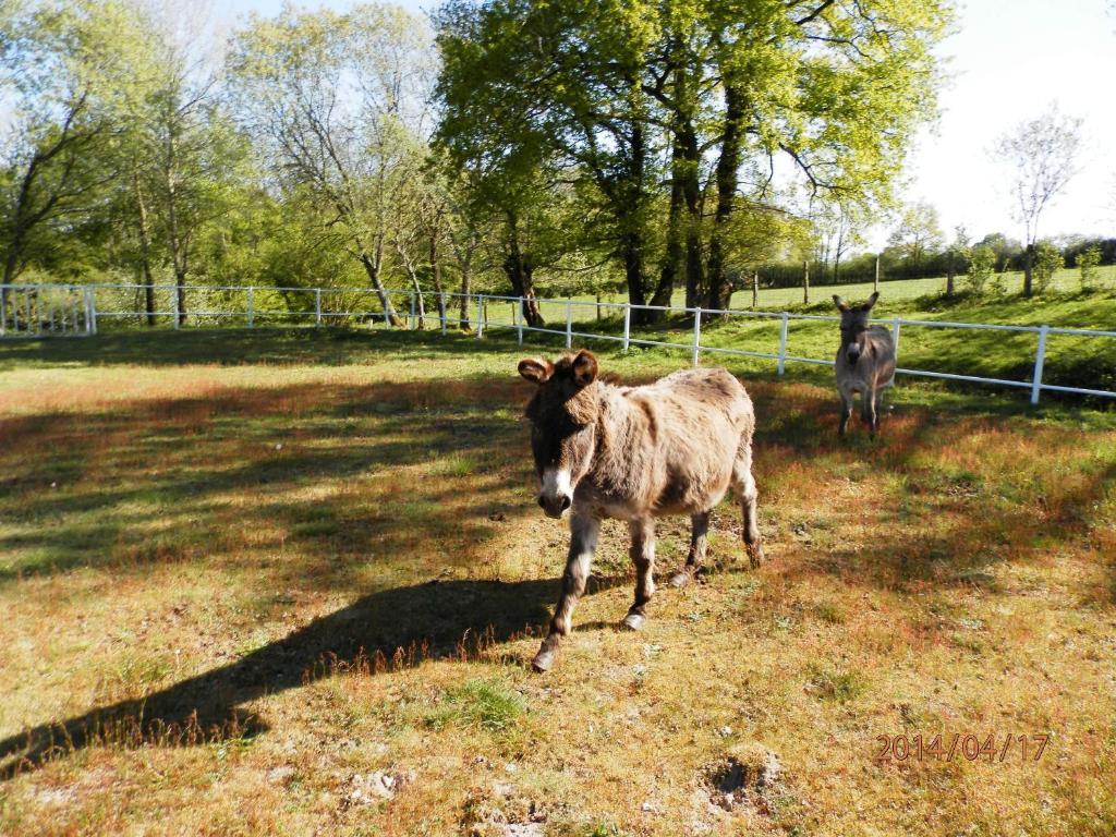 Domaine De Varenne Bed & Breakfast Saint-Amand-en-Puisaye ภายนอก รูปภาพ