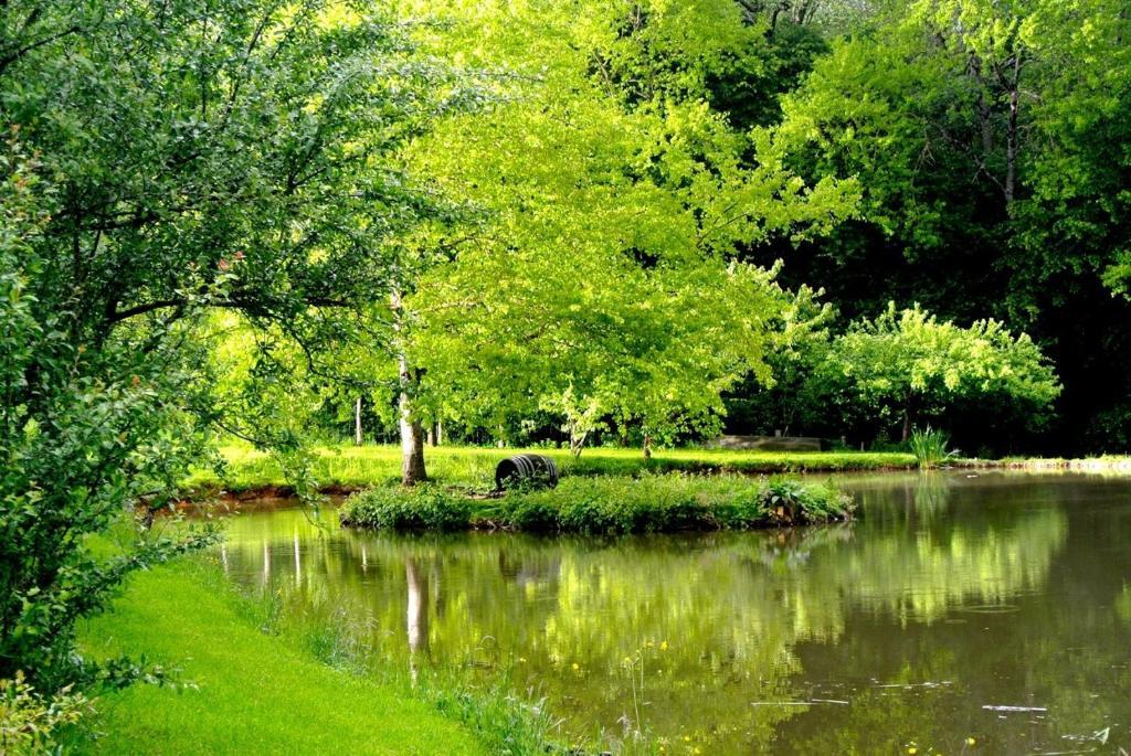 Domaine De Varenne Bed & Breakfast Saint-Amand-en-Puisaye ภายนอก รูปภาพ